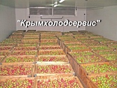 ФРУКТОХРАНИЛИЩА, СТРОИТЕЛЬСТВО ПОД КЛЮЧ.
