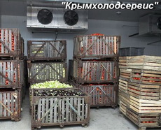 ОВОЩЕХРАНИЛИЩА.СТРОИТЕЛЬСТВО ПОД КЛЮЧ.