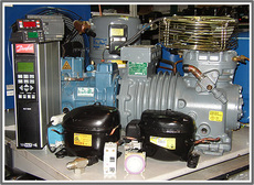 Здам в оренду промислове холодильне обладнання