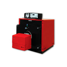 Газовые котлы Protherm Бизон