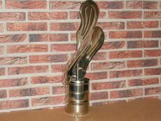 Флюгер дымохода нержавеющий - защита от задувания